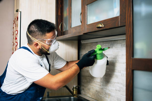 Wasp Removal Services in Wathena, KS
