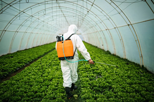 Best Best Pest Control Companies  in Wathena, KS