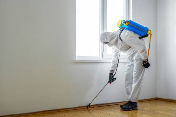 Best Pest Prevention Services  in Wathena, KS