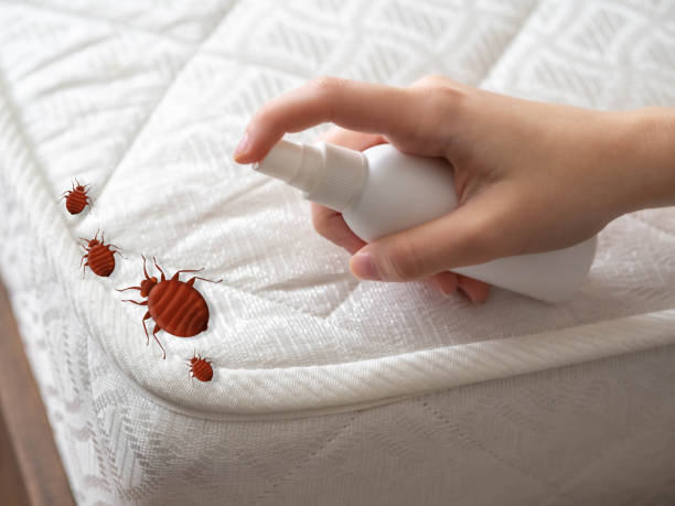 Insect Control in Wathena, KS