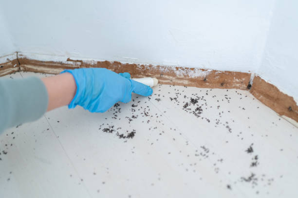 Best Commercial Pest Control Services  in Wathena, KS