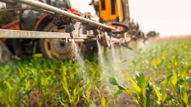 Best Best Pest Control Companies  in Wathena, KS